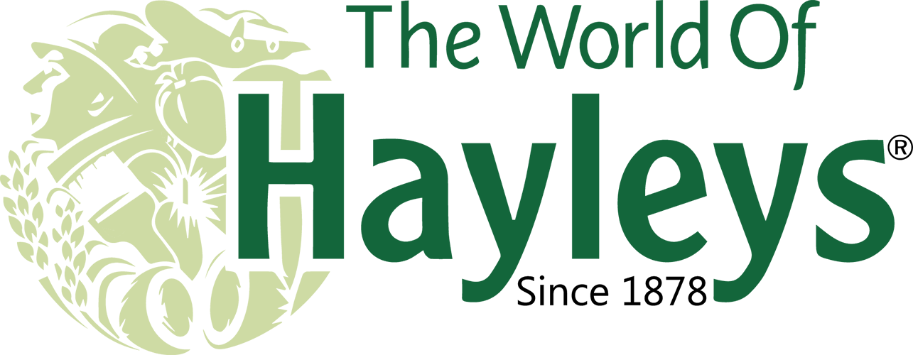Hayleys Logo